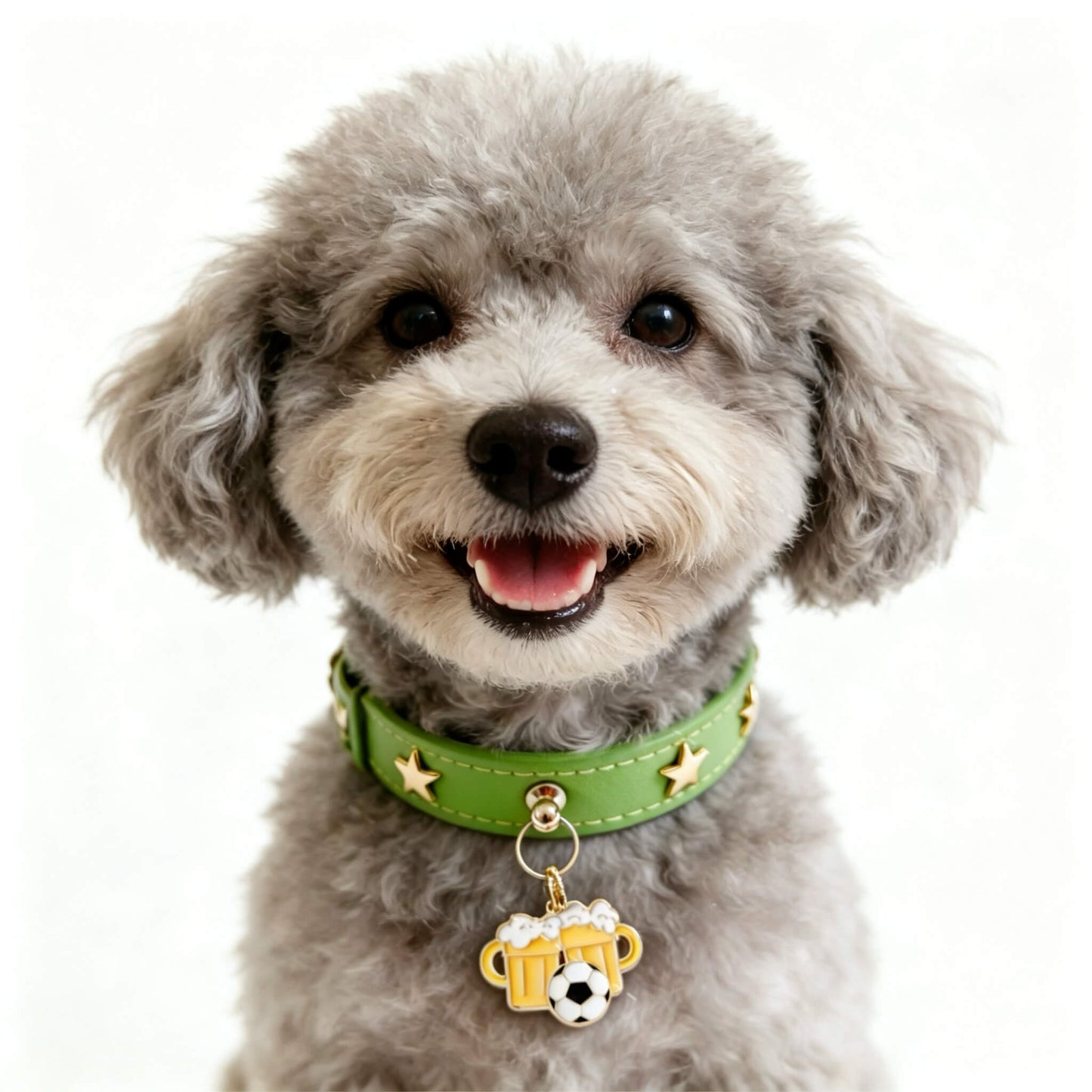 Pet Dog Football Collar