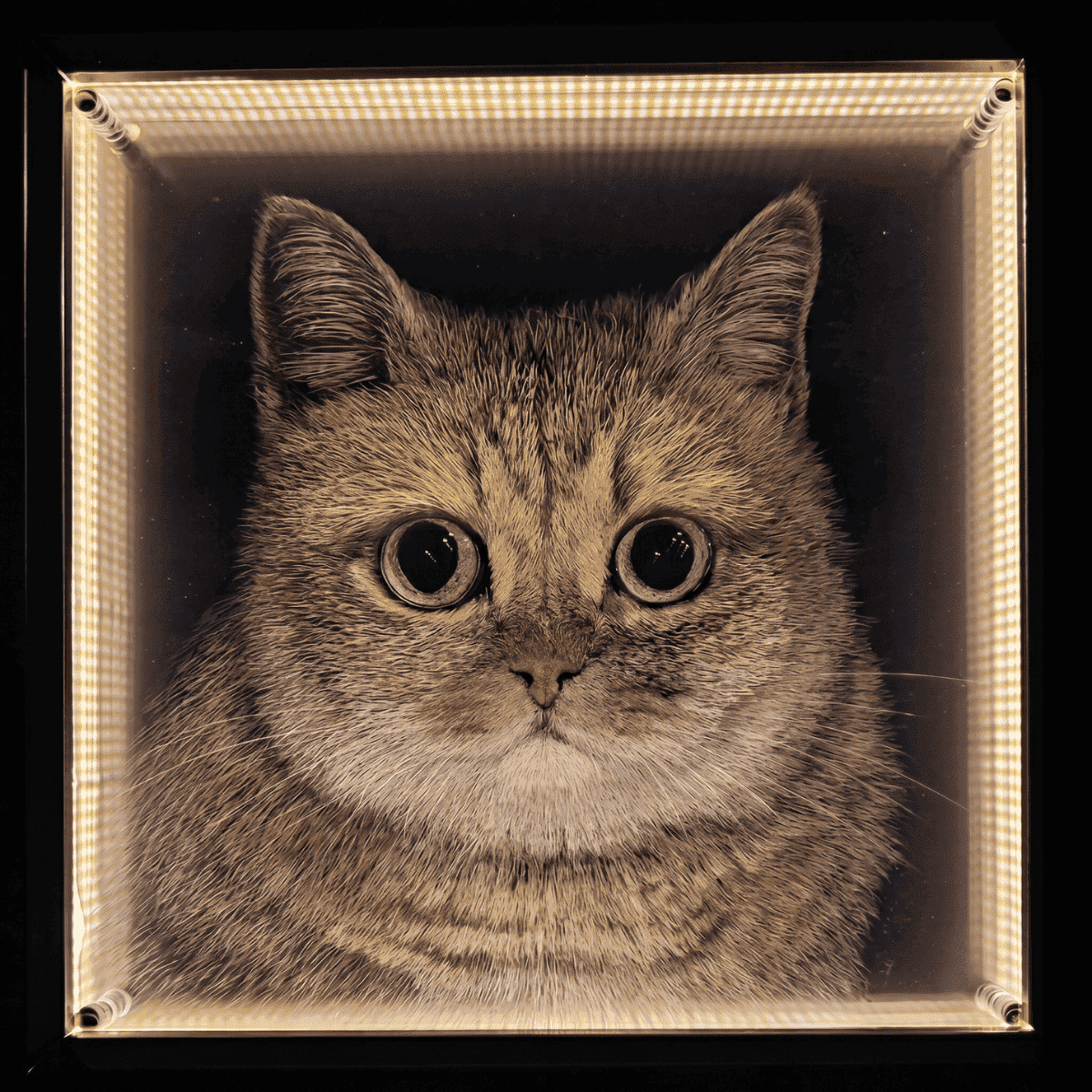 Custom 3D Pet Carving Acrylic Portrait