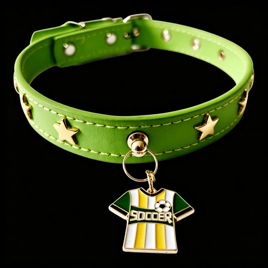 Pet Dog Football Collar