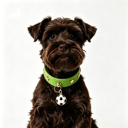 Pet Dog Football Collar