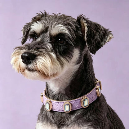 Pet Dog Woven Texture Rhinestone Collar