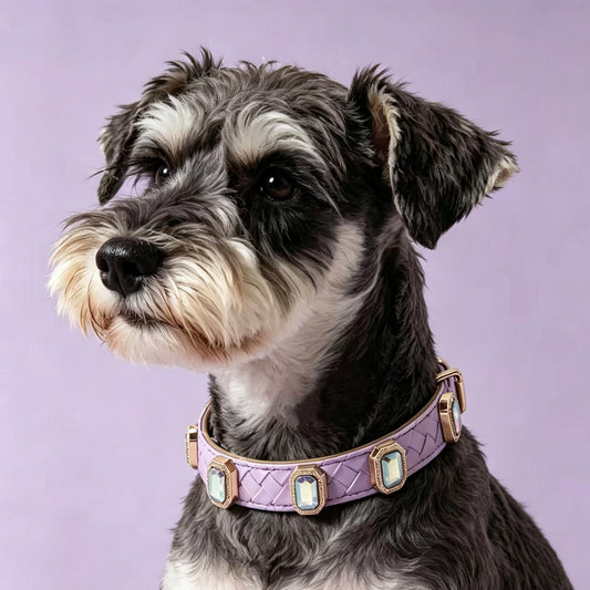Pet Dog Woven Texture Rhinestone Collar