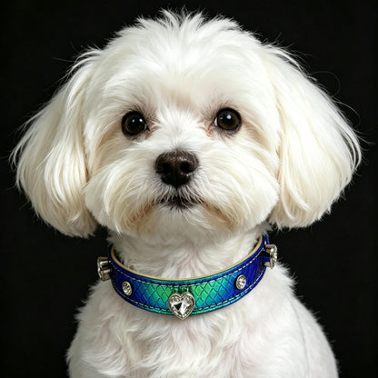 Pet Dog Gradient Rhinestone Collar