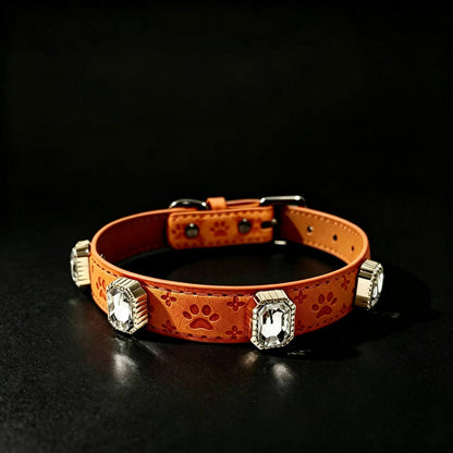 Orange dog collar with paw pattern and decorative elements on a black background