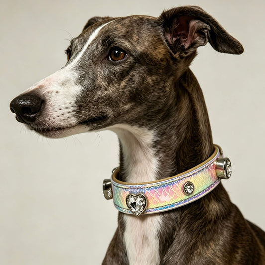 Pet Dog Gradient Rhinestone Collar