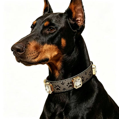 Pet Dog Paw Print Rhinestone Collar-Dark Gray