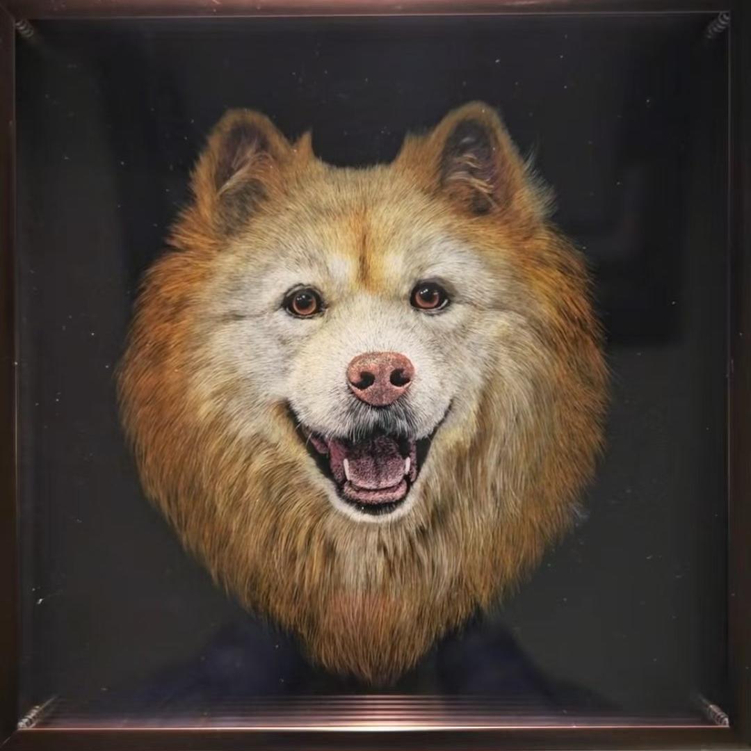 Custom 3D Pet Carving Acrylic Portrait