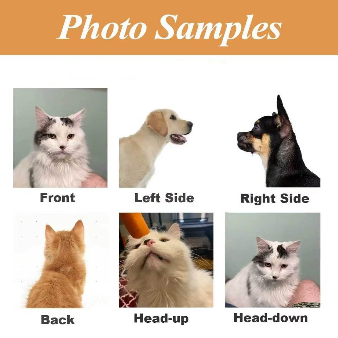 Example guide for images uploaded by customers when placing an order
