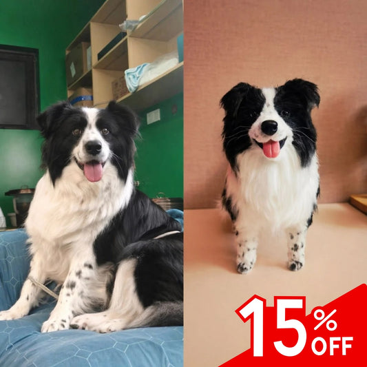 Two images of a black and white dog sitting on a couch and standing on a floor with a 15% off sign.