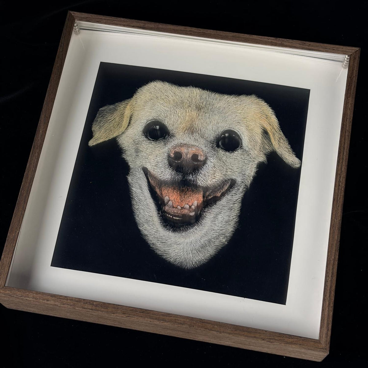 Custom 3D Pet Carving Acrylic Portrait