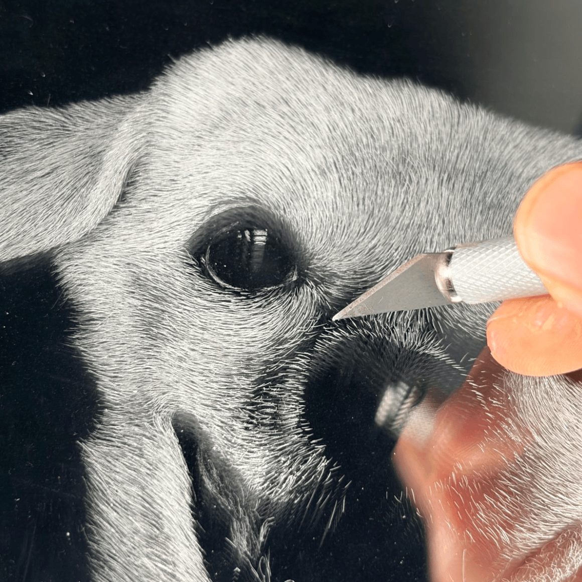 Custom 3D Pet Carving Acrylic Portrait