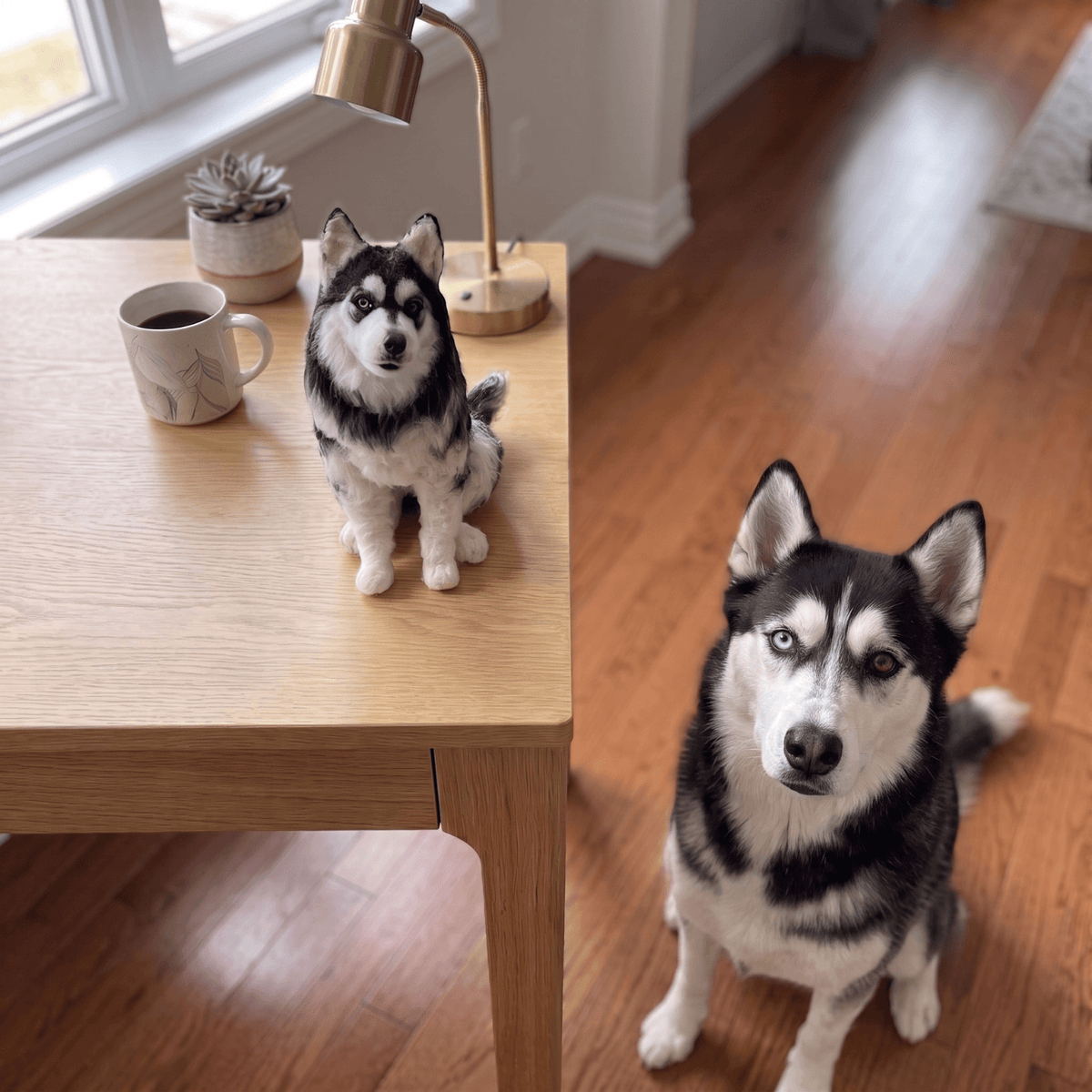 Custom Pet Replica Dog Plush
