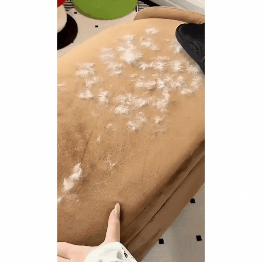Pet Hair Removal Glove
