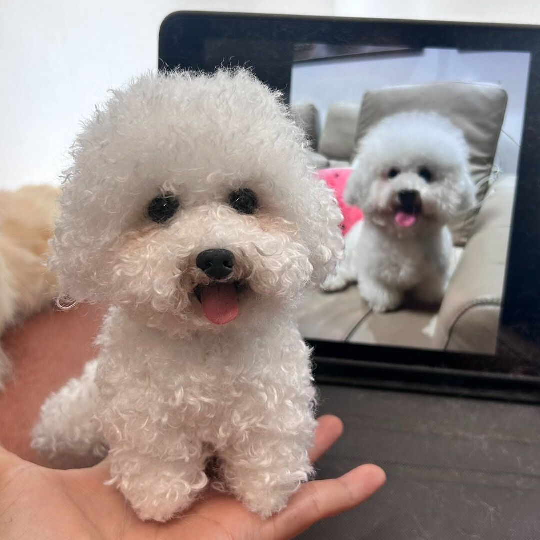 Small white dog held in a hand with a reflection of the dog on a screen in the background.