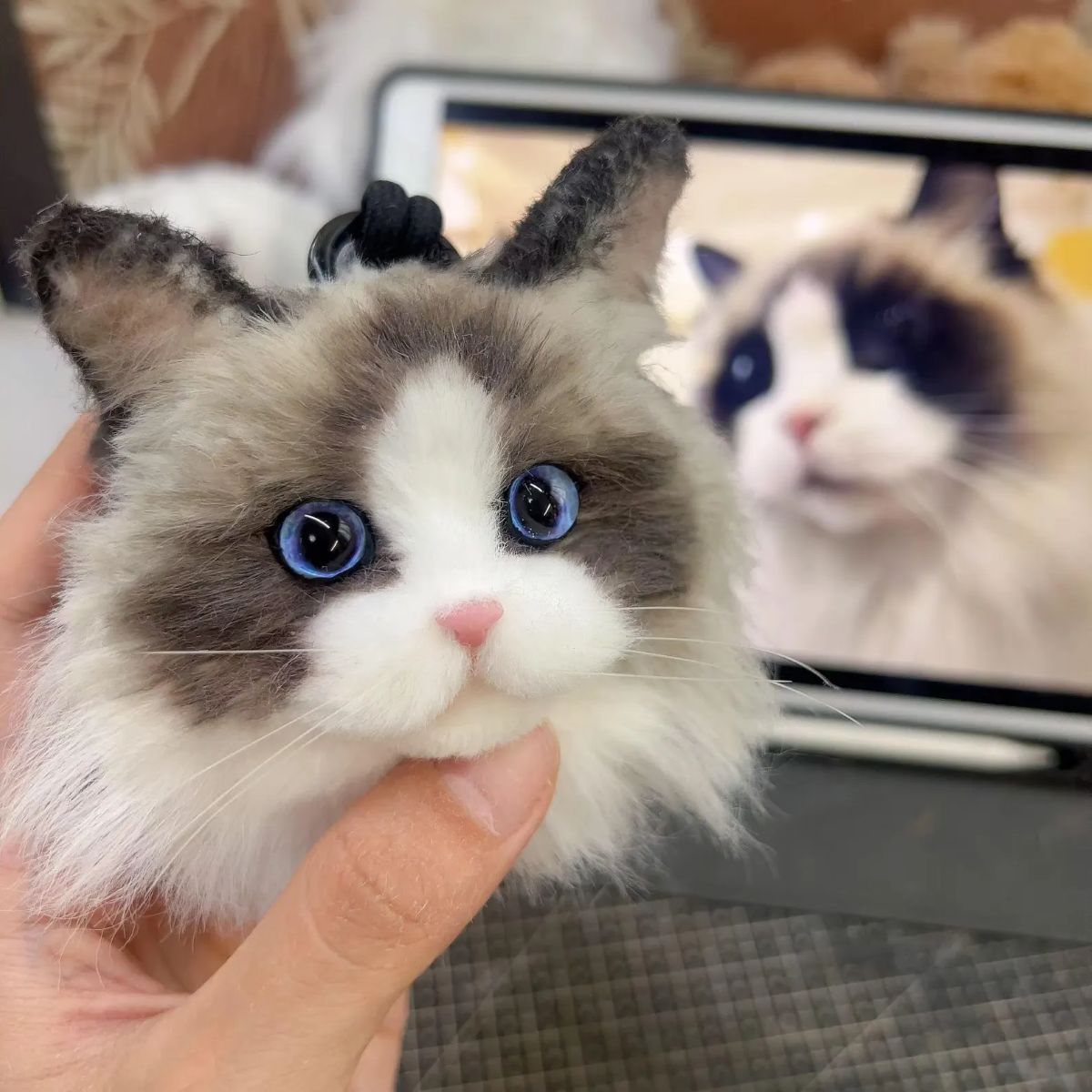 Custom Pet Replica Cat  Head Plush with blue eyes held by a hand, with a real cat in the background.