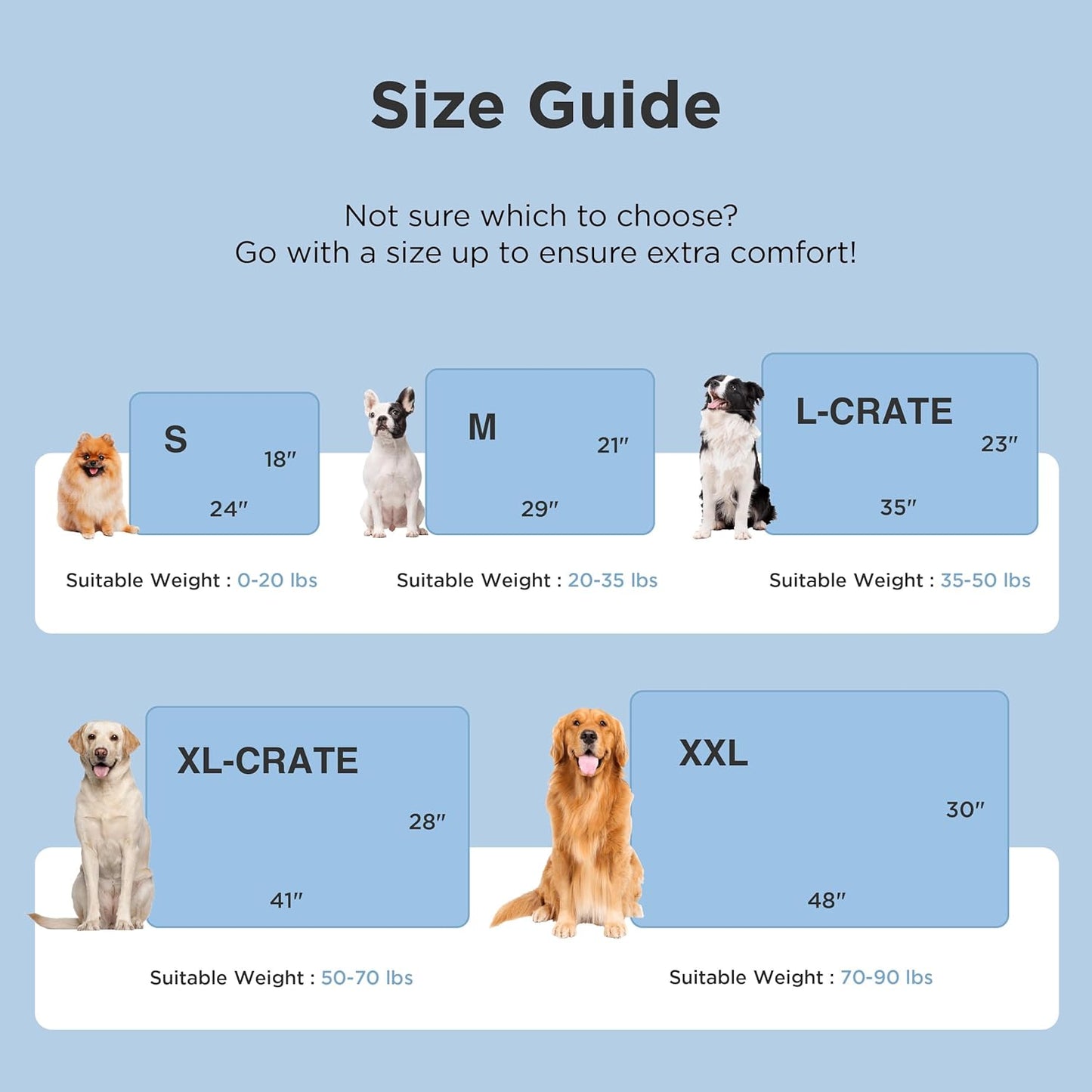 Dog crate size guide with illustrations of dogs and measurements on a light blue background