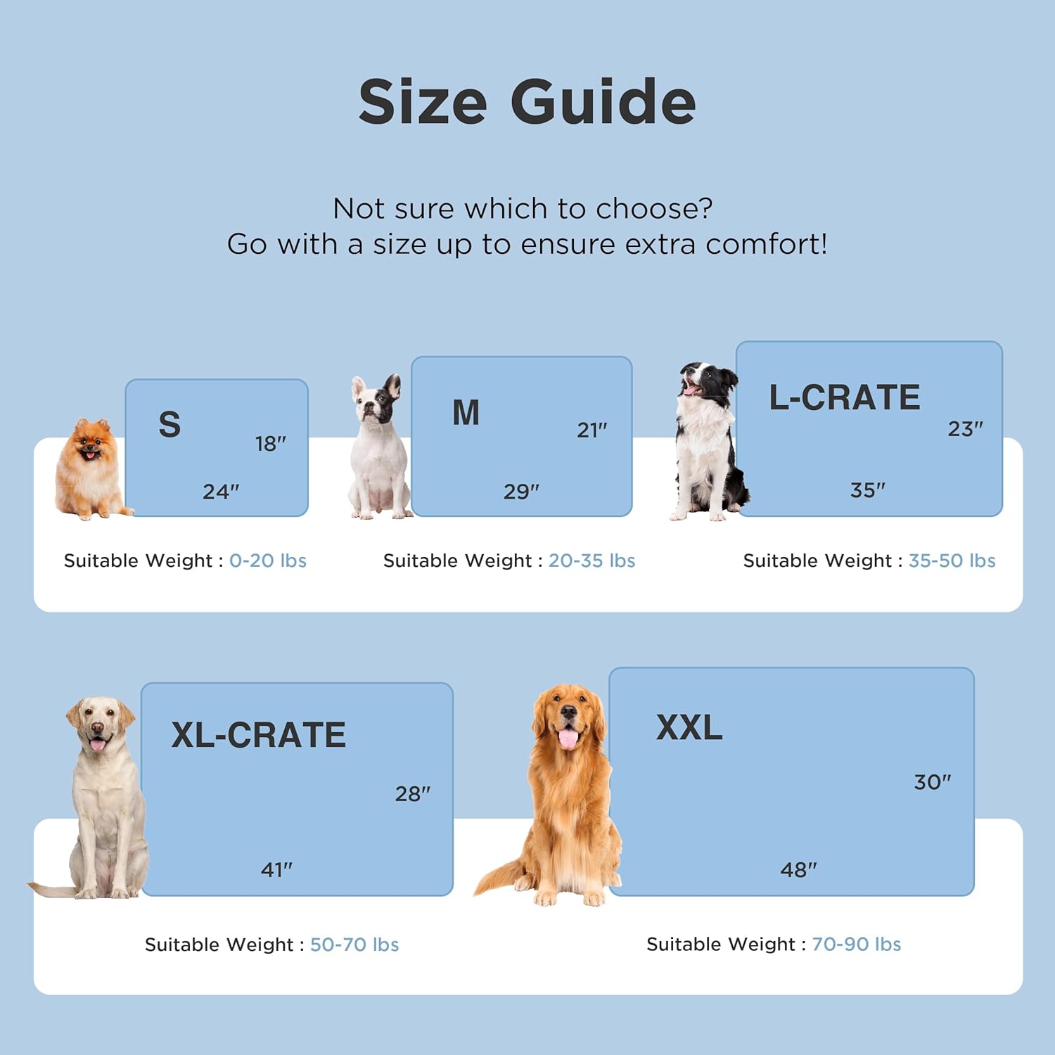 Dog crate size guide with illustrations of dogs and measurements on a light blue background
