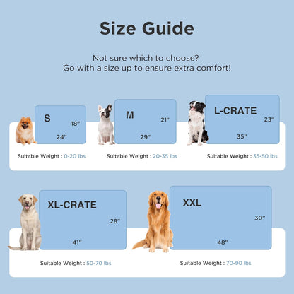 Dog crate size guide with illustrations of dogs and measurements on a light blue background