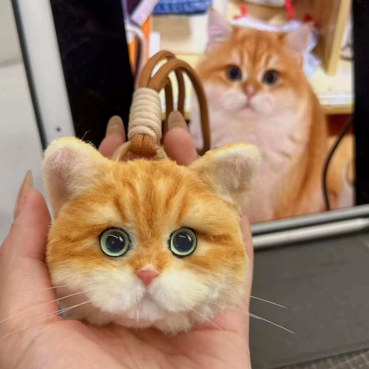 Cat-shaped keychain held in front of a cat in a mirror