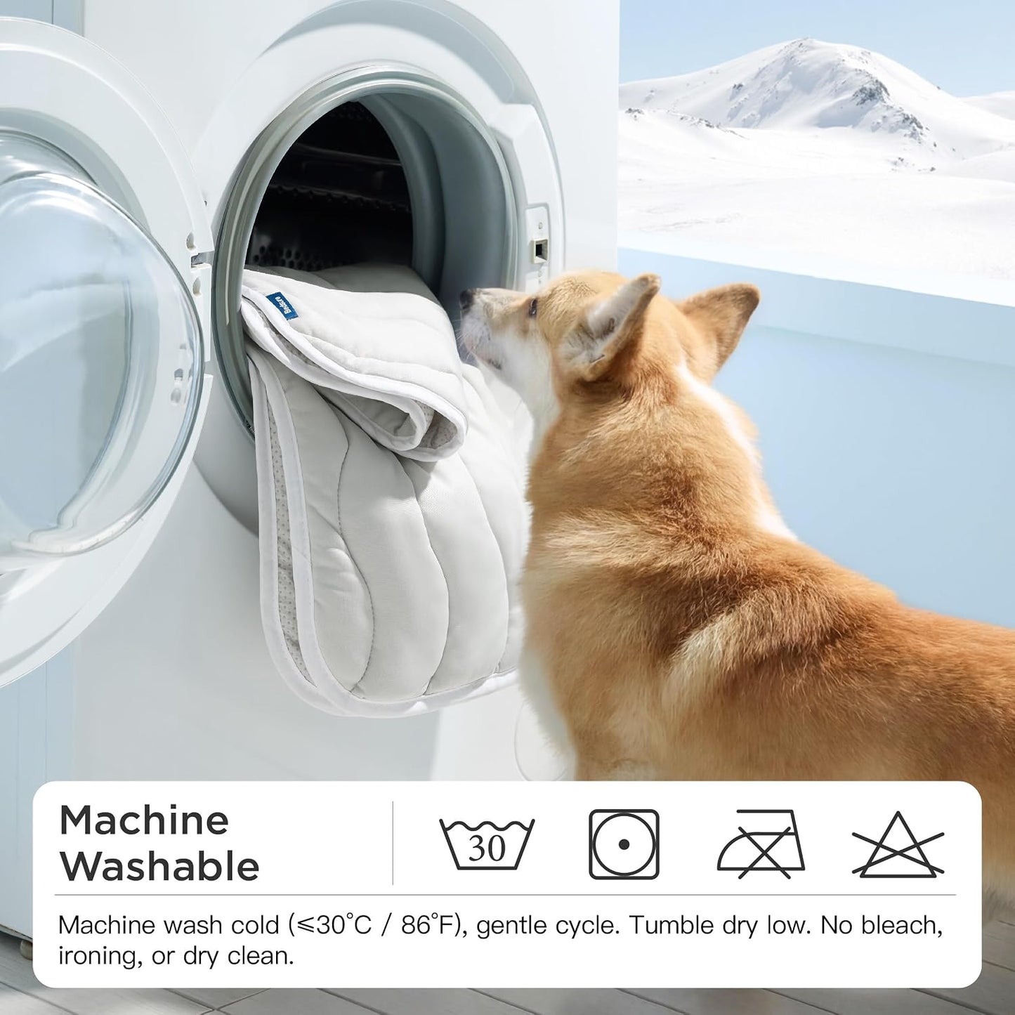 Dog looking into a washing machine with mountain background
