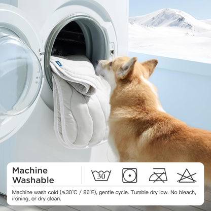 Dog looking into a washing machine with mountain background