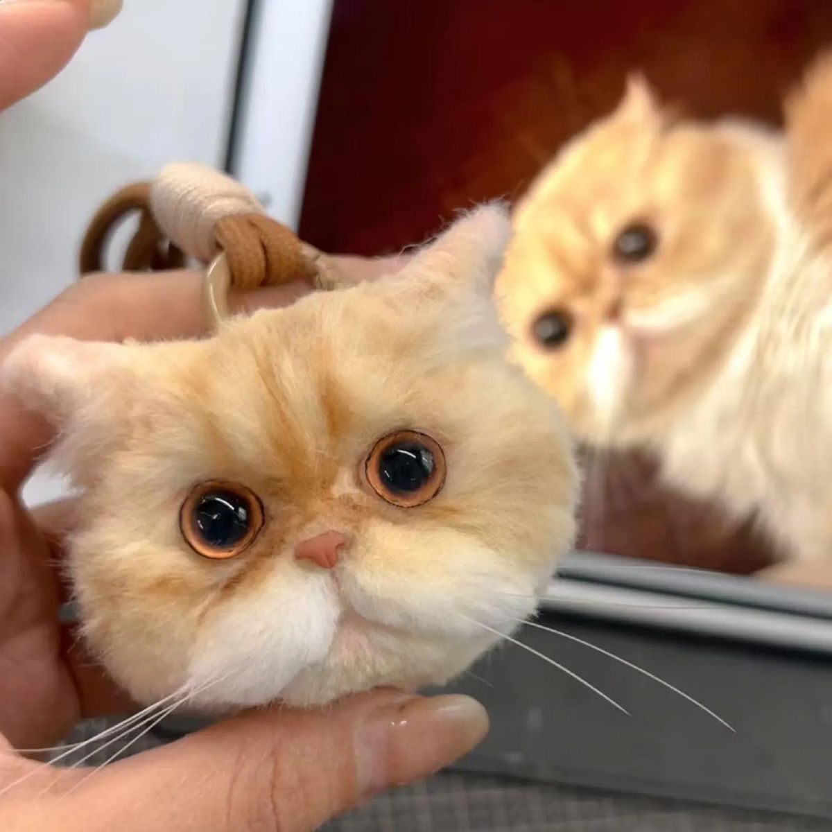 Custom Replica Cat Head Plush held by a person with a mirror reflecting the cat in the background.