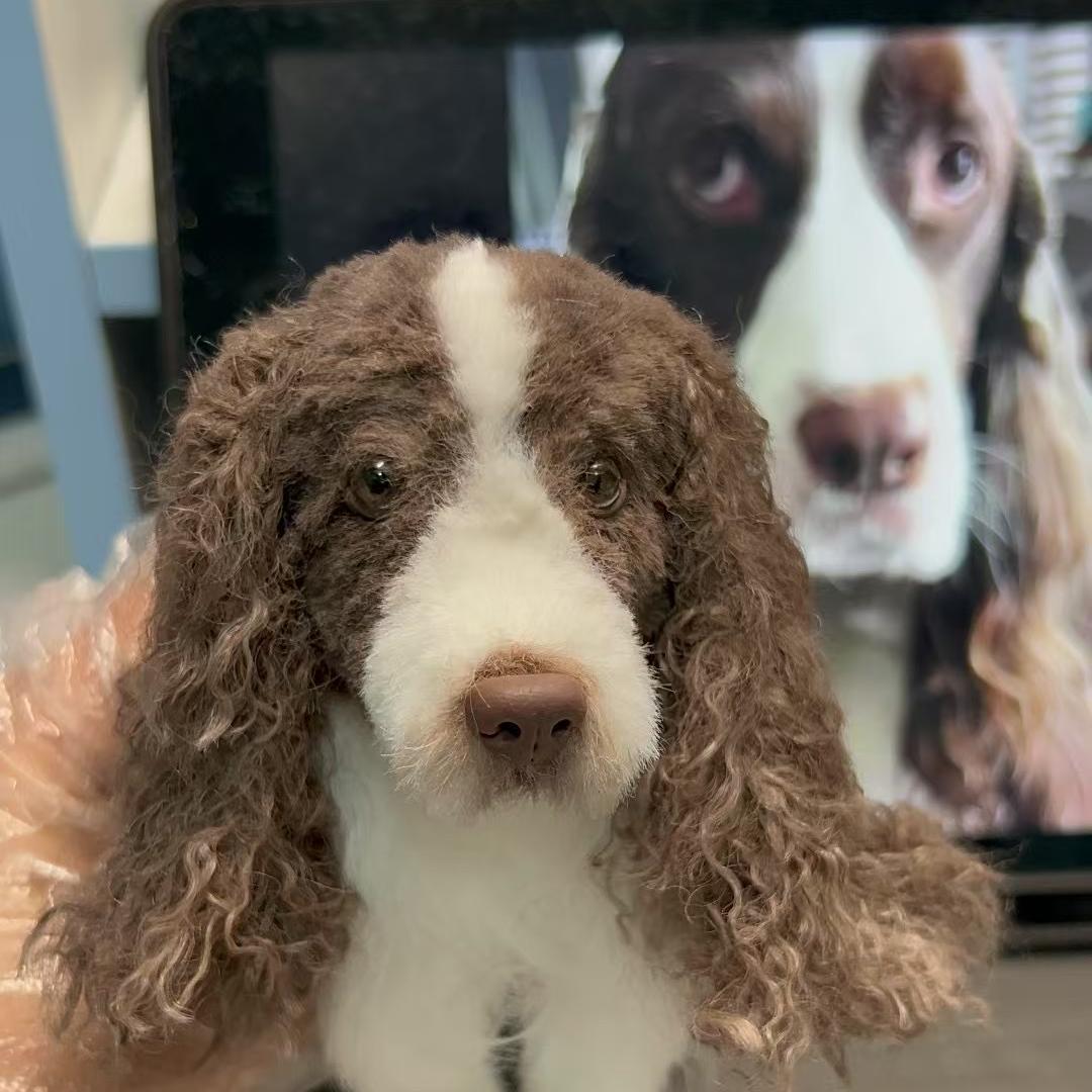 Custom Pet Replica Dog Plush