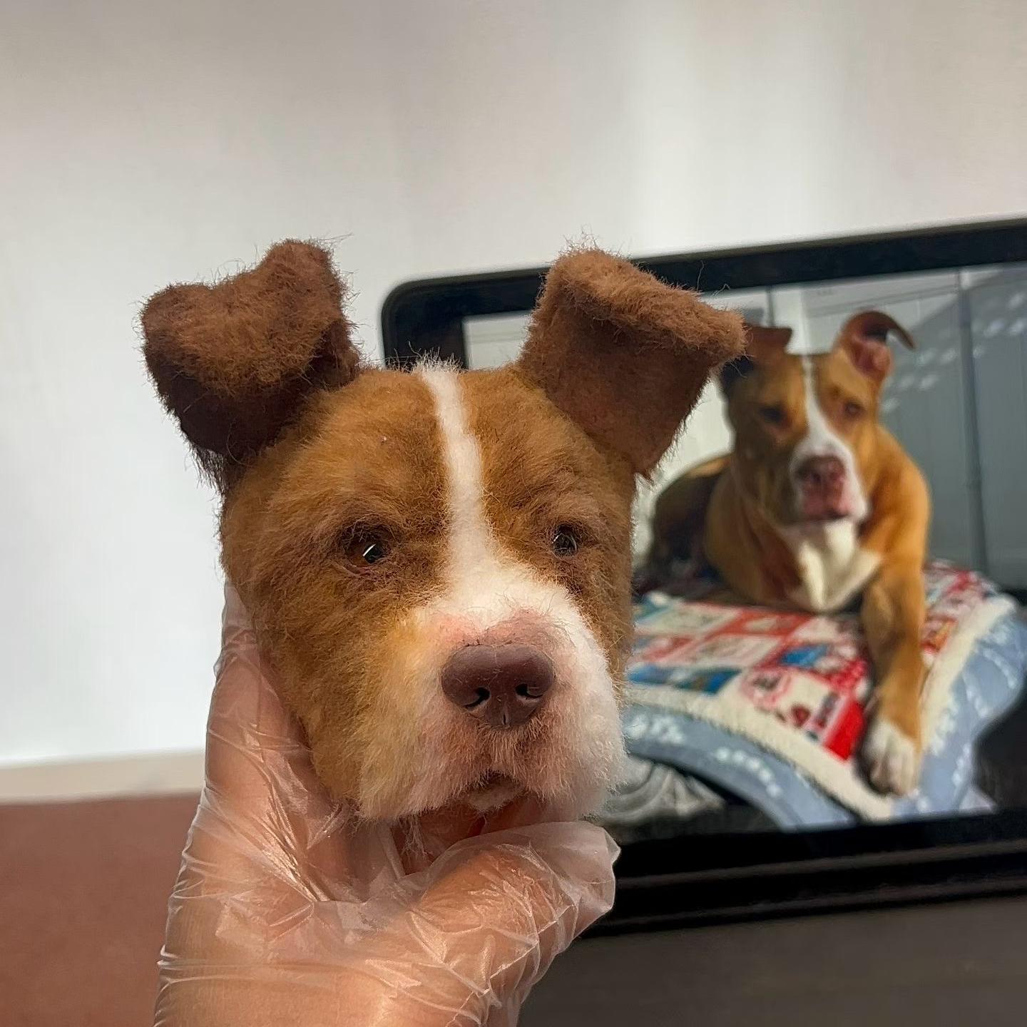 Custom Pet Replica Dog  Head Plush wearing a toy with large ears in front of a mirror reflection