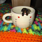 Custom Pet Mug -3D Dog or Cat Figurine Cup from customer feedback