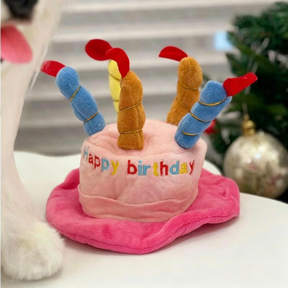 Dog Squeaky Toy Birthday Gift Box