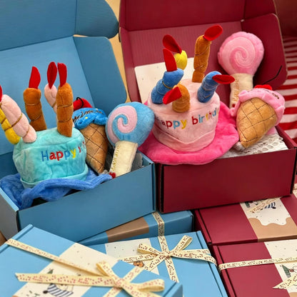 Dog Squeaky Toy Birthday Gift Box