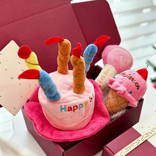 Dog Squeaky Toy Birthday Gift Box