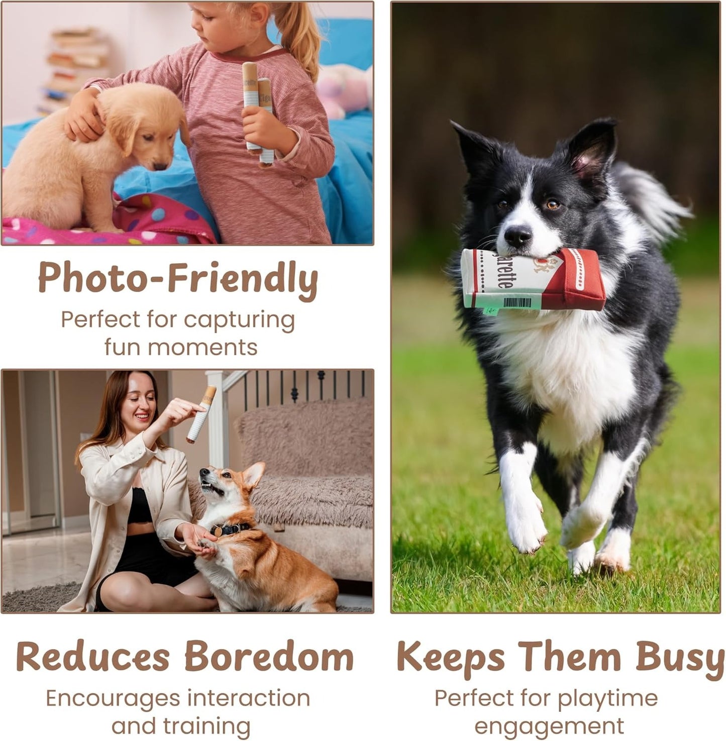 Collage of a child with a puppy, a woman with a dog, and a dog running with a toy, with text about photo-friendliness and dog activities.