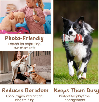 Collage of a child with a puppy, a woman with a dog, and a dog running with a toy, with text about photo-friendliness and dog activities.