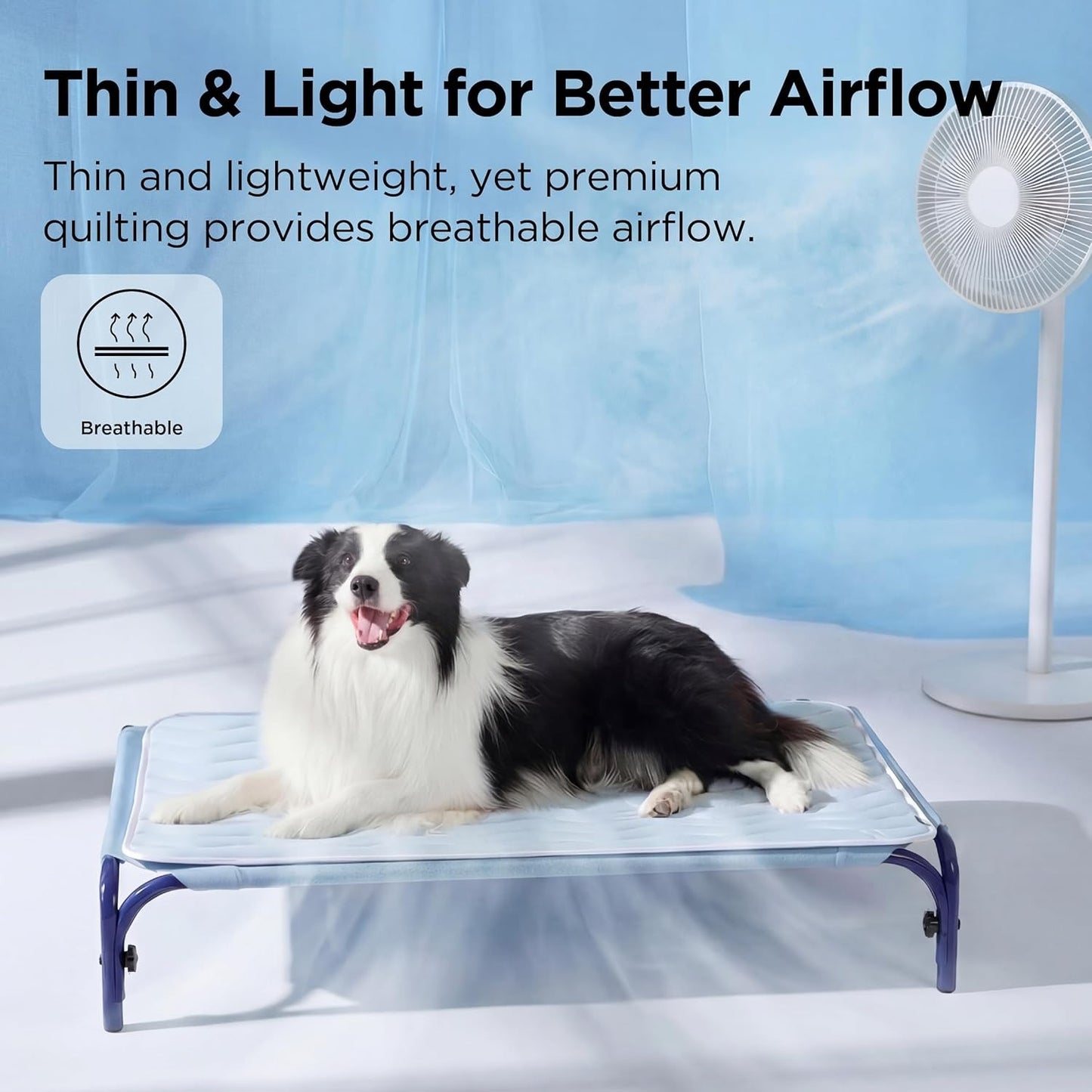Dog lying on a thin and light pet bed with a fan in the background
