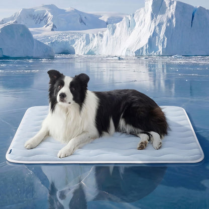 Dog lying on a floating mat in icy water with icebergs in the background